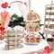 48-Pieces Succulent Cactus Tealight Candles Set with Mini Terracotta Pots, Gift Tags, Organza Bags